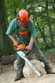Click to see it big Ich mit Kettensäge, Impression aus dem Wald